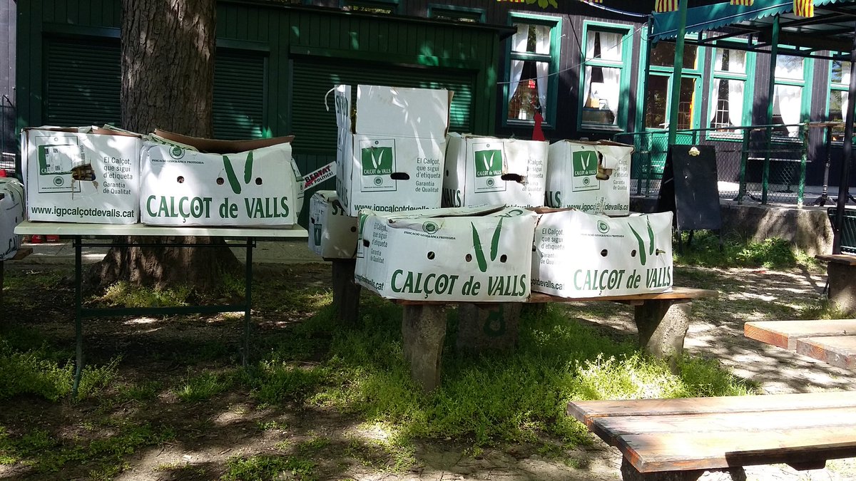 4a Calçotada Popular de Viena! Ab 13 Uhr im Schutzhaus Zukunft! #LlibertatPresosPolitics #Katalonien