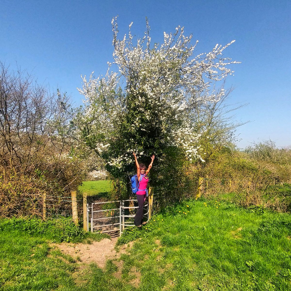BevsfitnessUk's tweet photo. Weekends here! Enjoy your time folks! April sunshiney days 🌞
#saturdaymotivation #getupgetout #goforawalk 🚶🌞🌳#stayactive #spring #blossoms #atonewithnature #backpackon https://t.co/jLGOIpJBun