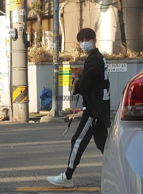 _forevermh's tweet photo. 민현 목격담 분 사진

민현이랑 강아지... 미남이랑 강아지... 애옹이랑 멈무... (광광)

#황민현 https://t.co/dkirZgx93l