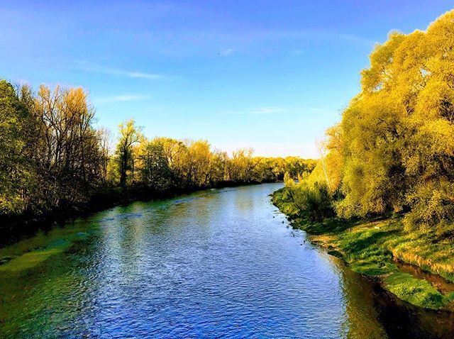 ChNiedermeier's tweet photo. Isar am Morgen #isar #freising #ig_freising #natur #nature #morninglight #morgen #morgenlicht #wasser #river #water #ig_nature #ig_naturelovers #hiking #golden #spring #frühling #farbenfroh #sonne #sun #colorful #bluesky #hdr #schön #bayern #google #wand… https://t.co/C86cJUbFzI https://t.co/forhkbHOsA