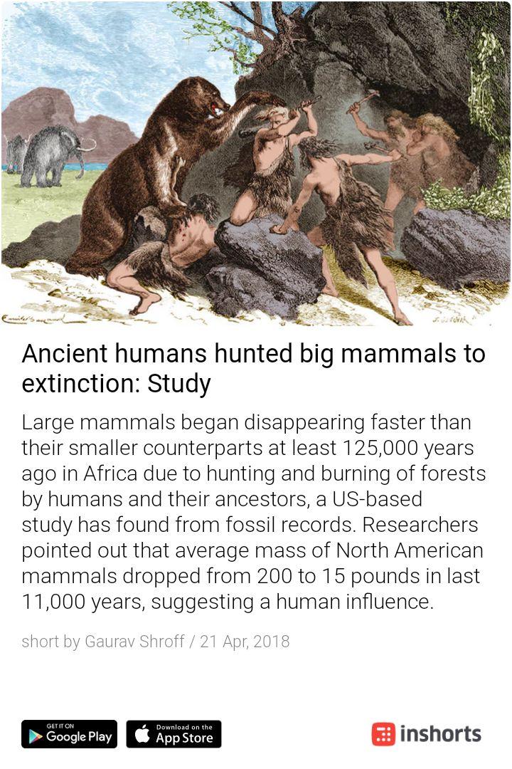 djbr1991's tweet photo. Man! What a Disaster :(
#extinctions #manmade #mammals #irreversible
https://t.co/Rk2CN43GzR https://t.co/gXBop85HkI
