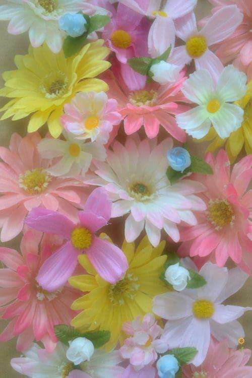 I l💘ve Princess Diana👸
👸🙏Really Princess 🙏👸