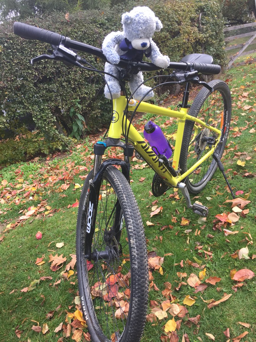 Kaitlin Quinlan tweet media