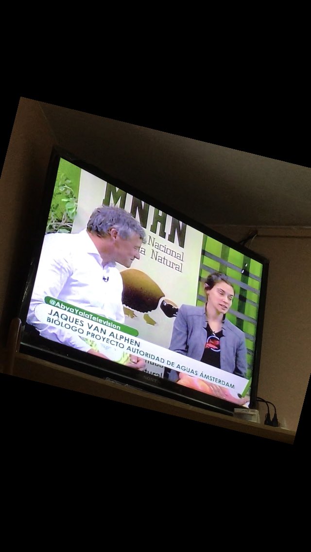 Vandaag ook op tv in Bolivia uitleg over #worldfishmigrationday