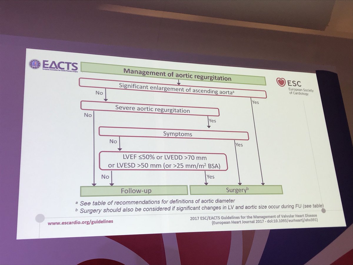 biljana_parapid's tweet image. My ❤️ is full every time 1 of my #Fellowship #DFMSA #Mentor #Bichat 🏆 Pr. #Iung is in #Belgrade now 4 #CardioS2018

#AorticStenosis #Echo #ESC #ACCWIC #ACCFIT #Guidelines

@gabrielsteg @sfcardio @jbcuzin @DrMarthaGulati @MartineGilard @bcostelloMD @RigolinVera @DrToniyaSingh