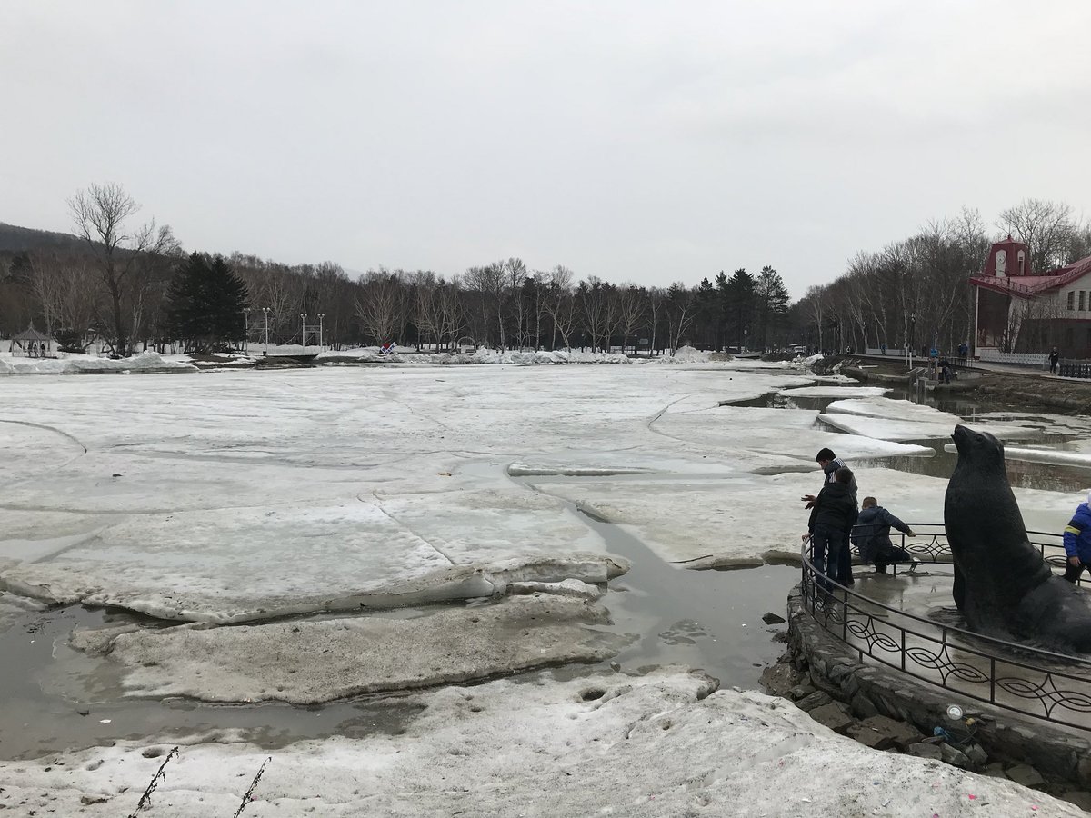 aerodrivex's tweet photo. 自転車再開しました。ガガーリン公園の池はまだ氷に覆われてます。マウンテンバイクコースの再開はまだ先になりそうです。 https://t.co/sQeFaFNGx9