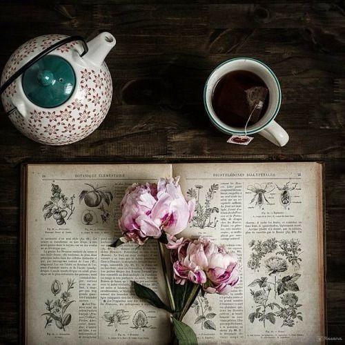AshantaraGray's tweet photo. Morning my lovelies, wishing you a magical day ahead π»πΌββ¨ @AshantaraGray π· https://t.co/PJPKbxyQRd #morningblessings #receivetheday #ashantaragray #timefortea #teacup #flatlay #teacupflatlay #passitforward #positivevibes #gratitude #blessedbe https://t.co/aR3PCbnNw7