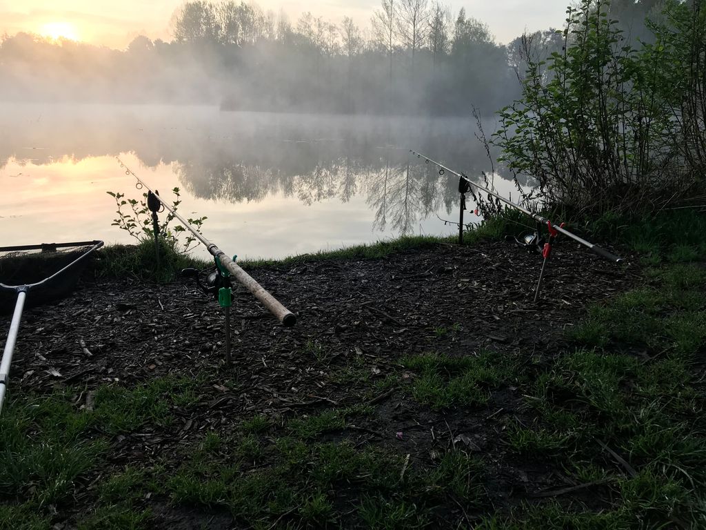 angelninde's tweet photo. Erstes Mal im Jahr 2018 auf Karpfen 🐟🐟🐟

Bin Mal gespannt was ich fange 😃

#carp #fishing #karpfen #angeln #2018 #angelninde #deutschland #bezaubernde #kulisse https://t.co/ttZuGw2Wwo