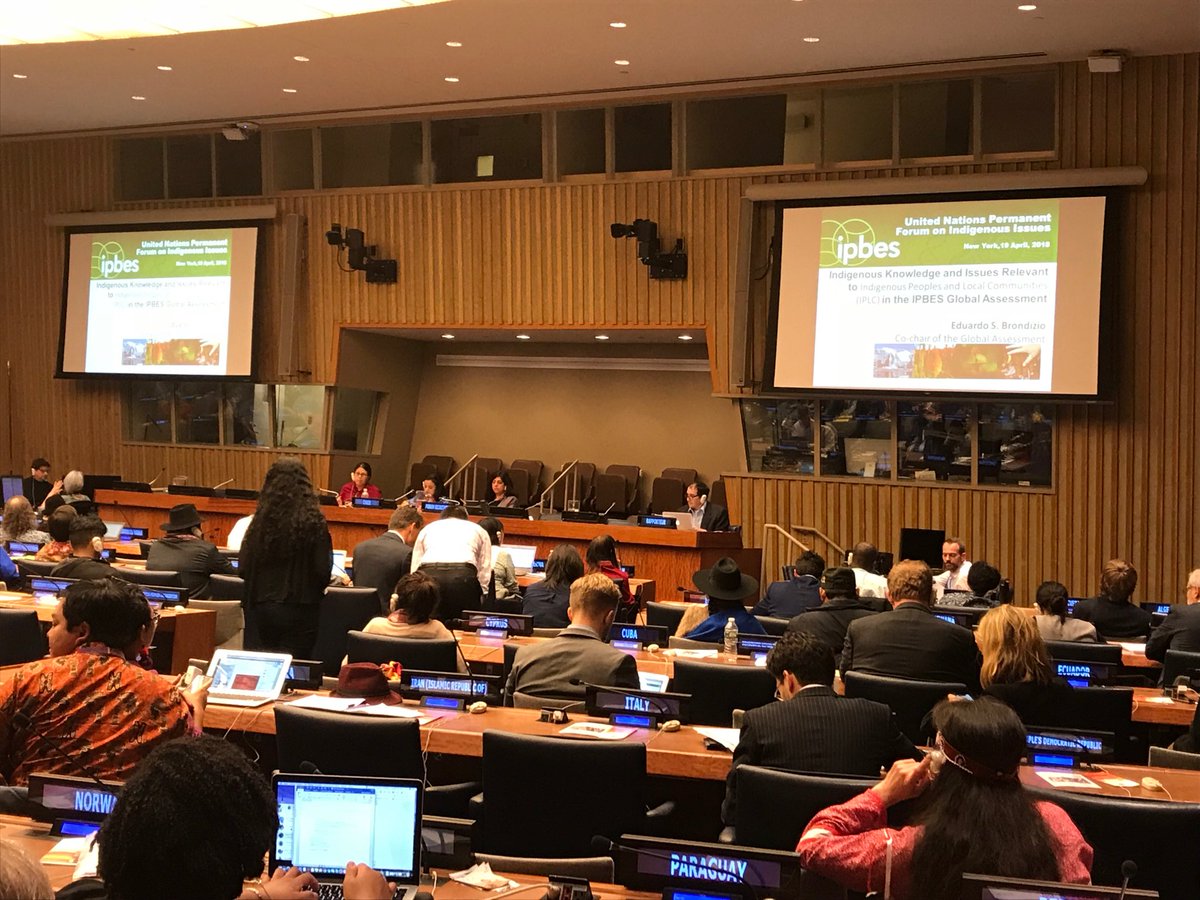 cfrontlines's tweet image. Eduardo Brondizio (Co-chair of the @IPBES Global Assessment) delivered a statement on #IndigenousKnowledge in the Global Assessment at the #UNPFII17
