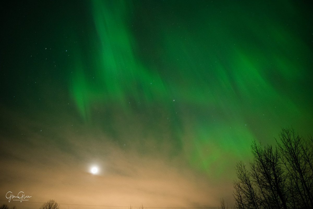 11glasspets's tweet photo. @_JeffNash @AuroraMAX @Aurora_Alerts Nice, even the moon and city lights could not stop her! https://t.co/XgfG7ErFUe