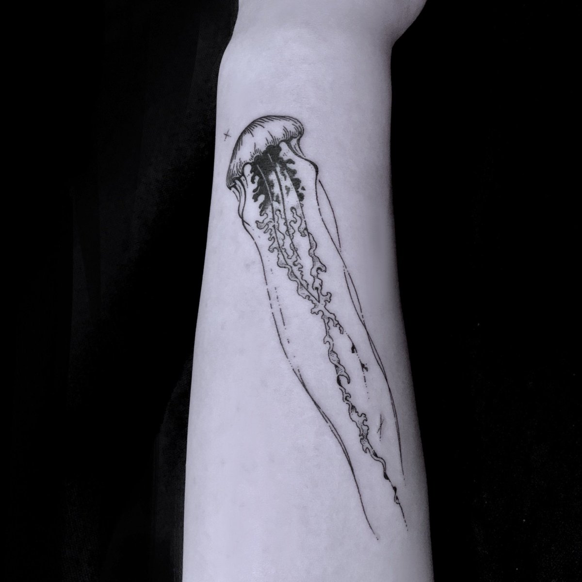 Jellyfish. #タトゥー #イレズミ #drawing #tattoo #tattooist #그림 #타투 #타투문의 #타투상담  #타투도안 #타투샵 #타투이스트 #낙서 #일러스트 #드로잉 #문신 #라인타투 #스케치 #디자인 #해파리 #동물 #그로테스크, image size:1200x1200