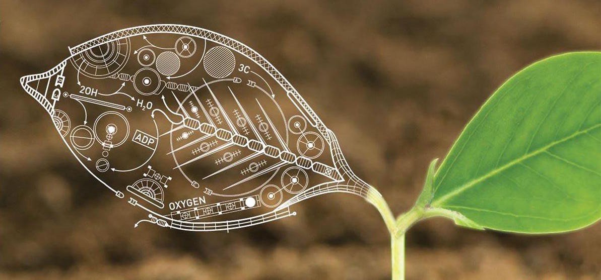 Synthetic Biology aims to make biology easier to engineer but also in the words of the great Richard Feynman.
"What I cannot create, I do not understand".
Thus through creation we gain a better understanding of the very same components we use to create.
#igemthessaloniki