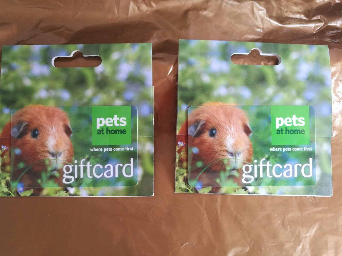 CavyCornerS's tweet photo. Tomorrow is our Small Furry Pet Fun Show these are some of the wonderful prizes donated for our raffle. Do come along and have a great day. https://t.co/O7Il7CQLFm