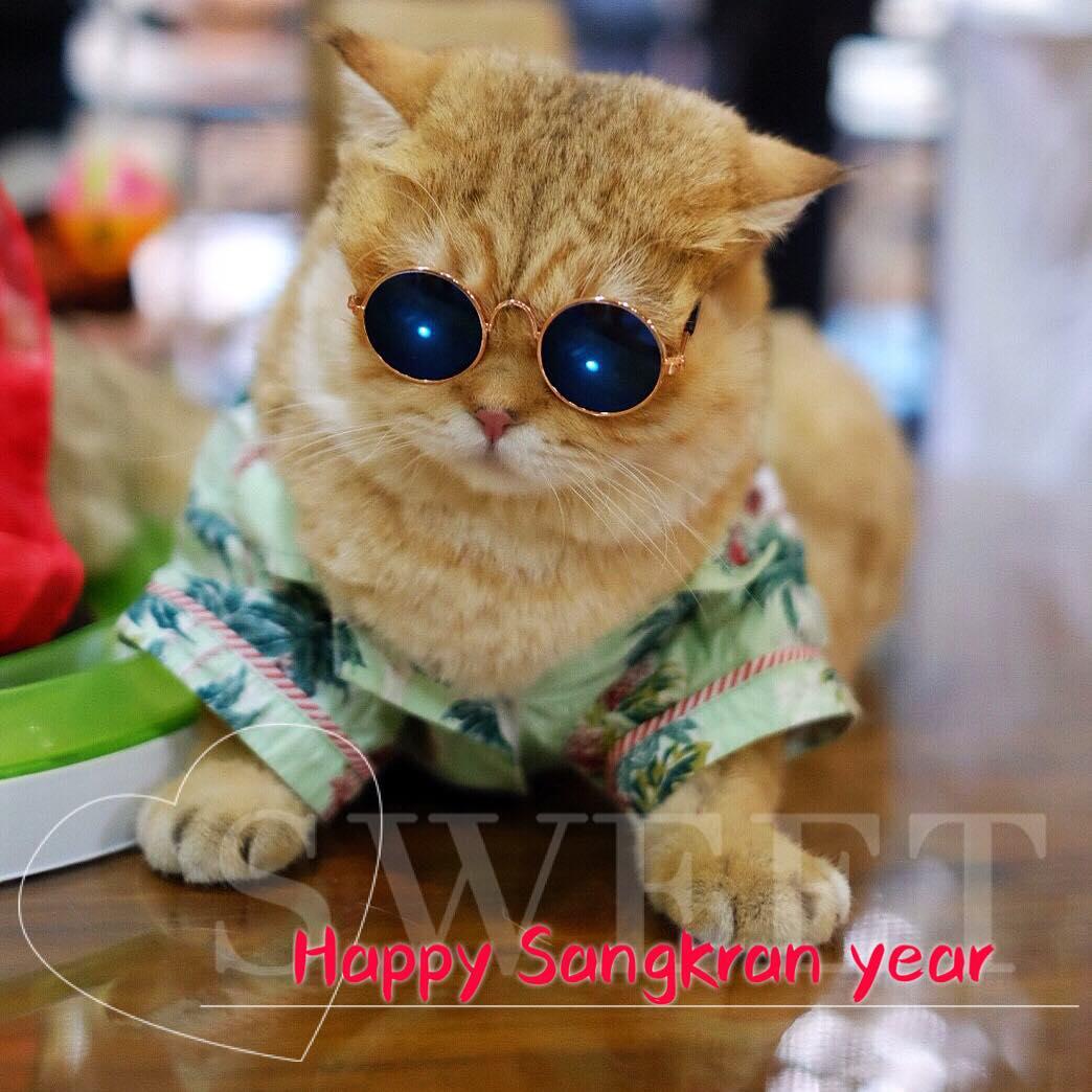 poonking8223's tweet photo. สุขสันต์วันสงกรานต์ คราาา! #พาลูกชายมาสวัสดิ์ปีใหม่ไทย#sangkran #newyearthailand#bnk48 #แคปชั #howtoperfect https://t.co/yOo7rpo6Gp
