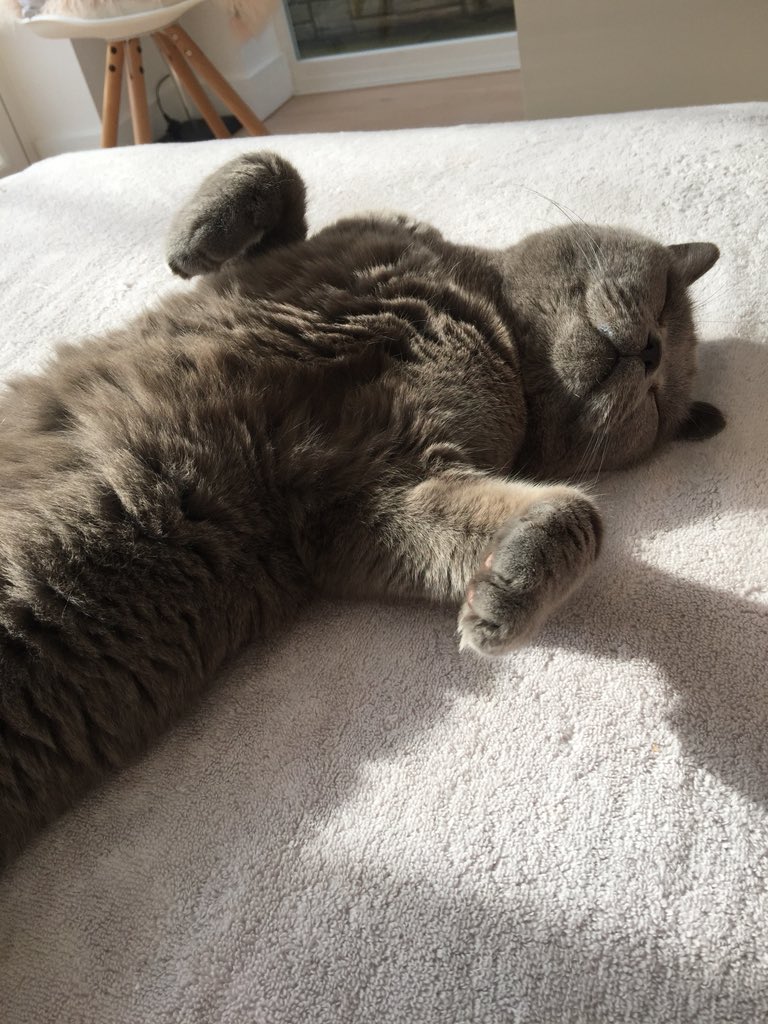 Still asleep can you believe 😂