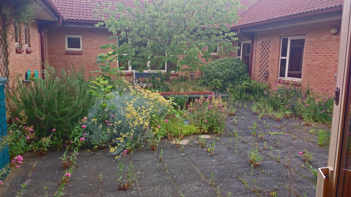 Leicestershire Partnership NHS Trust tweet media