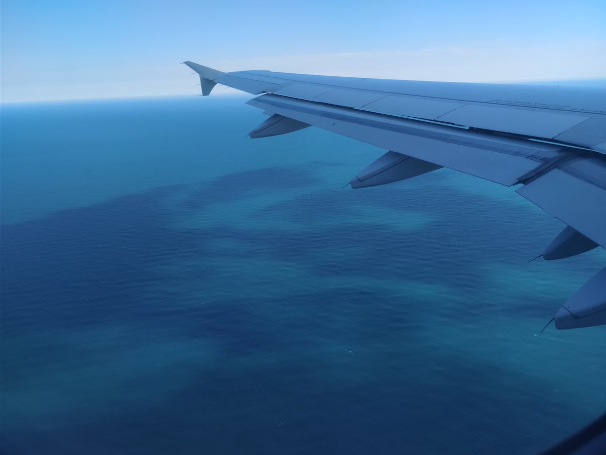 Marle (@eva_baudry) on Twitter photo 