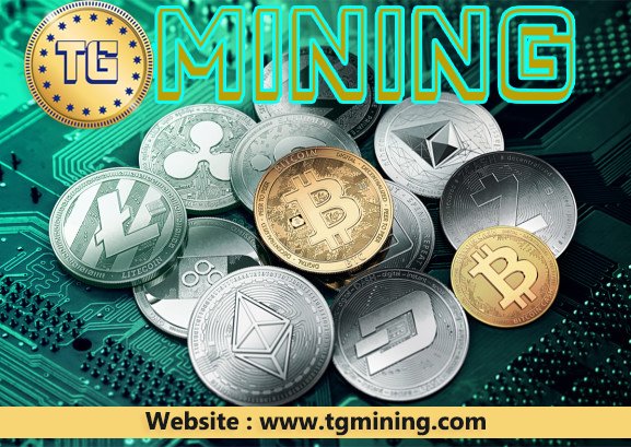 tgminingg's tweet photo. #cryptocoin in #lucknow
#cryptocurrency #market in lucknow
#TGMining
Mining is increasingly difficult and expensive.
The current members of our bitcoin mining team come from different scientific disciplines.
Website : https://t.co/mGRsbSxZxb https://t.co/HQJRYiHvXU