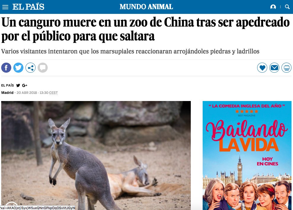 ZOOXXIproject's tweet photo. Hace una semana nos preguntábamos aquí 👉🏽https://t.co/6PmFkR98hK si los animales están protegidos en el zoo. Hoy nos hacemos eco de la noticia de la imagen 😡 Nos reafirmamos en nuestra respuesta: no, los zoos no son seguros. La noticia completa aquí 📲https://t.co/IBJ6aMnWvg https://t.co/yWEyKWRsTg