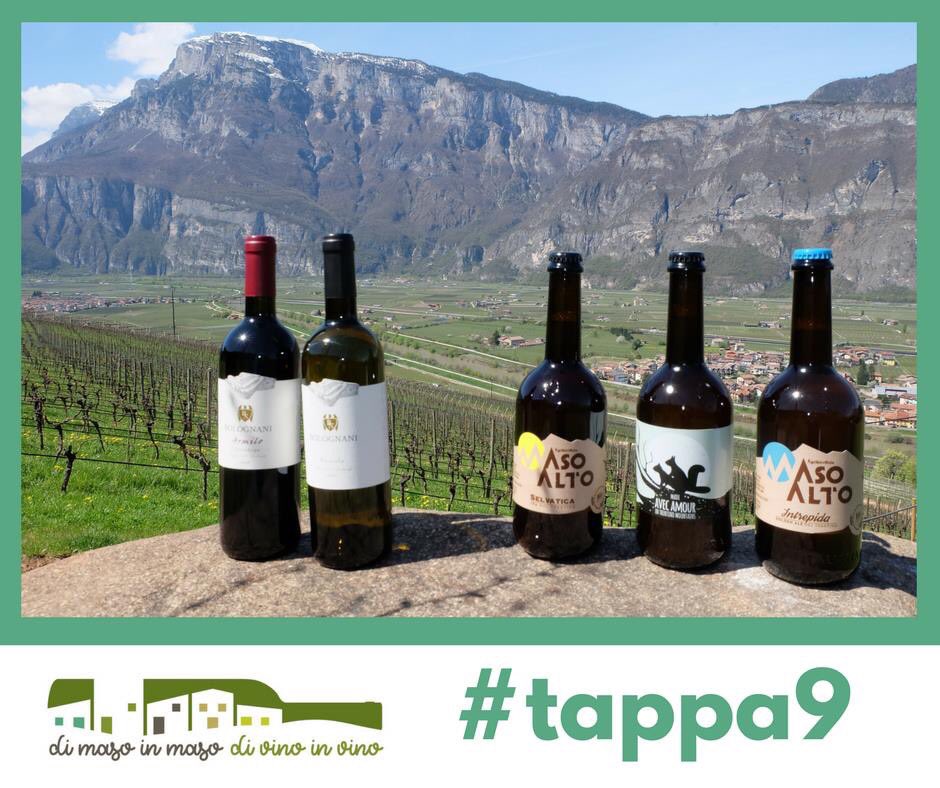 dimasoinvino's tweet image. Di maso in maso di vino in vino sarà una giornata all’insegna della qualità dove poter degustare i succhi, i vini e le birre direttamente dai produttori.

#9tappe #degustatrentino #trentinowinefest #dimasoinvino #dafareinTrentino