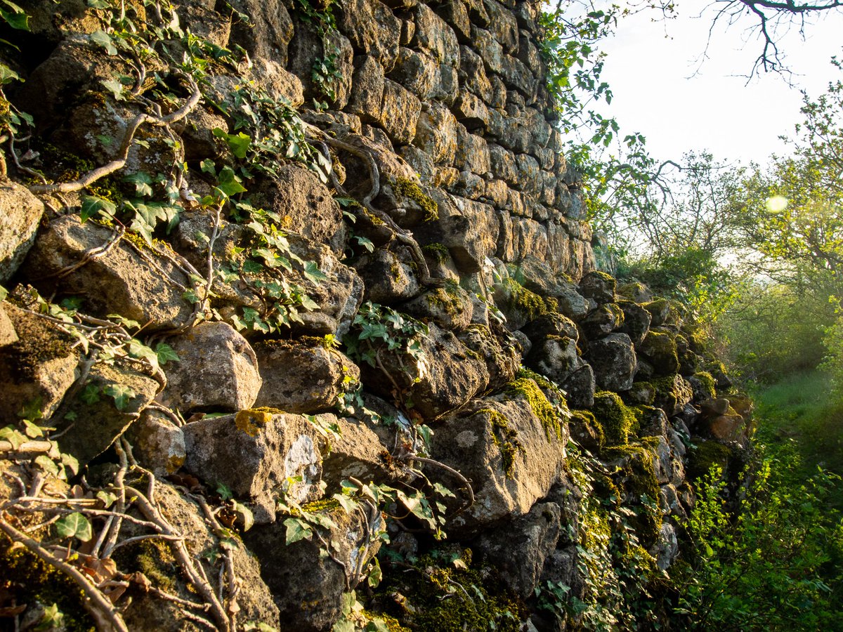 Caillou_Hiboux's tweet photo. Vestige de l'ancien village de #Roynac cet incroyable #clocher surplombe toute la Drôme provençale ! 😍Et vous, vous aimez balader dans ce genre de lieux ? #drome #ruines #quandlanaturereprendsesdroits
👕@TwentyShirt 📍@ladrometourisme https://t.co/BSznpeaWtX