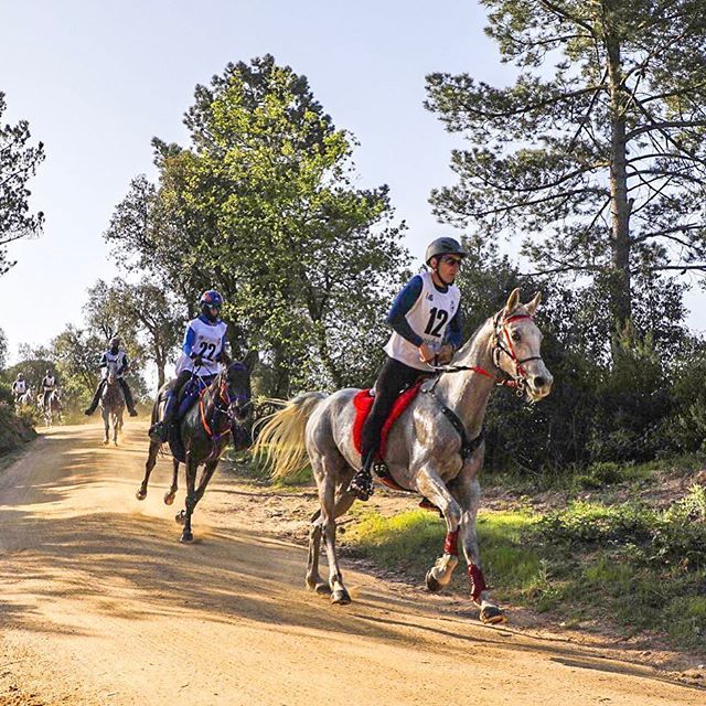 RFHE_Raid's tweet photo. Alex Luque liderando el grupo de cabeza en el Cto. de España de #raid en #tordera segunda fase! #rfhe_raid #endurance https://t.co/J1cbumvM0k https://t.co/Xt9TfyjUZx