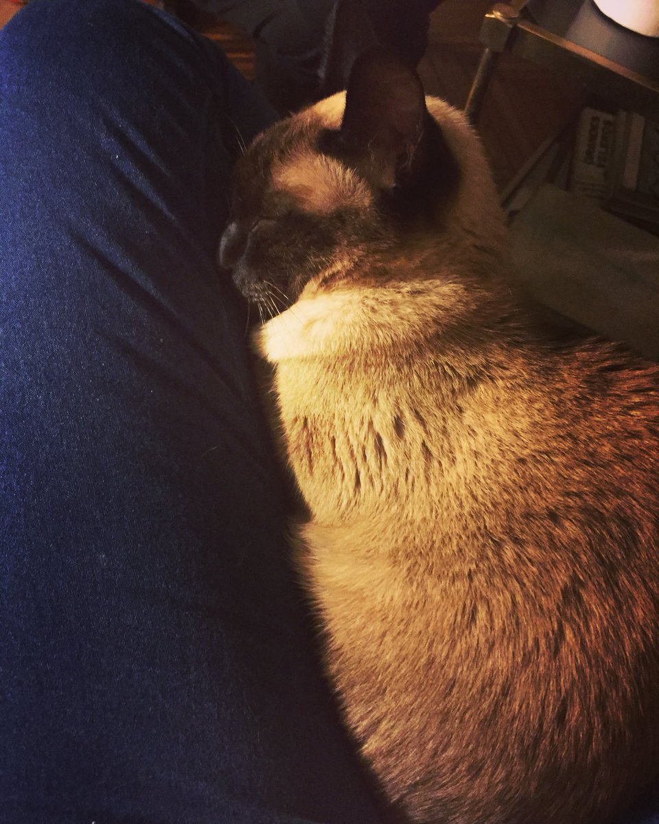 Azul Isis (@blue_isis) on Twitter photo 