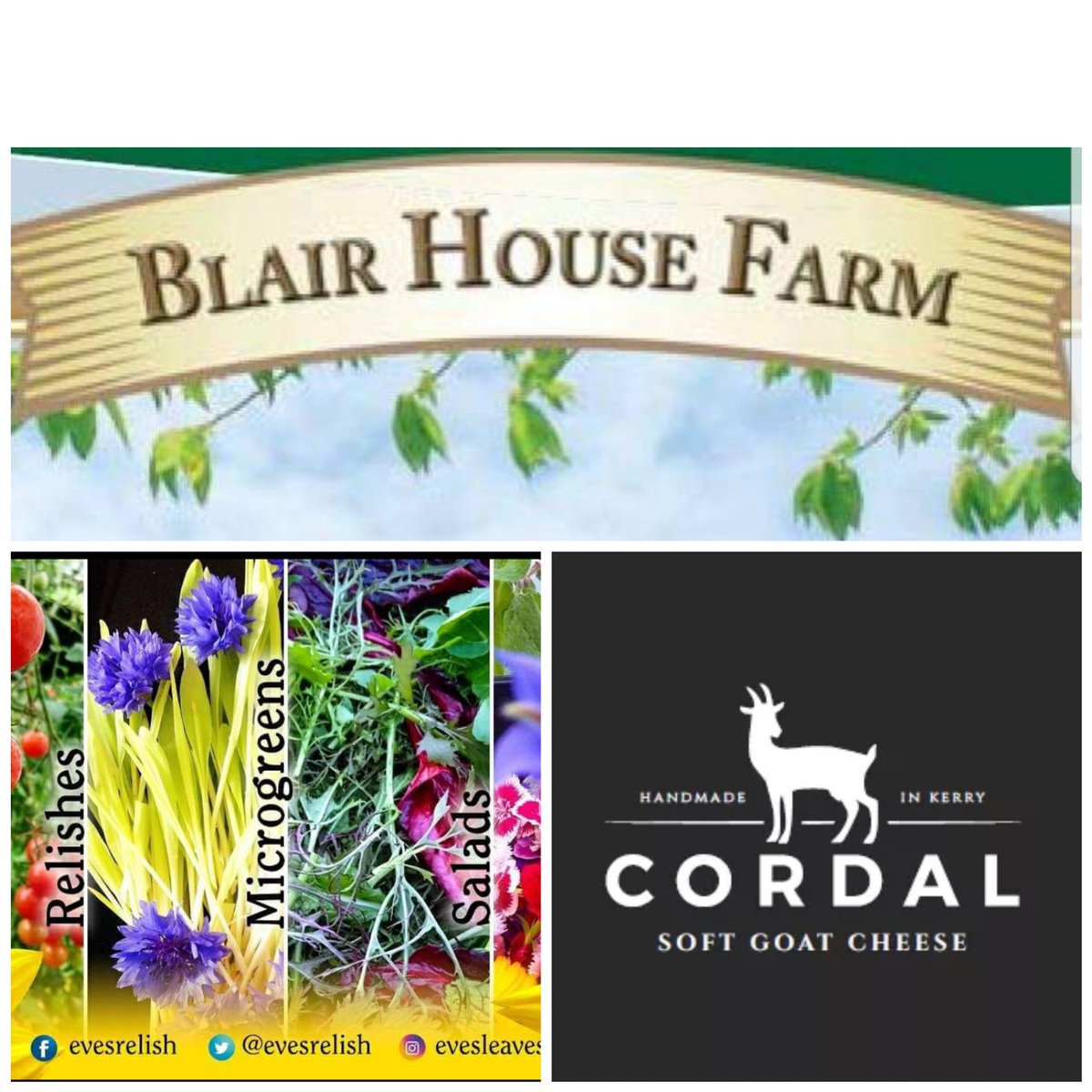 chadpbyrne's tweet photo. 4 chefs doing a few courses each all at cost price making room for all at the table!
A pre taster and starter dish @blairhousefarm1 @evesrelish @CordalCheese keeping her local for this one guys #ChefColab https://t.co/s359SKTjZm https://t.co/Xxq0x1TGTW