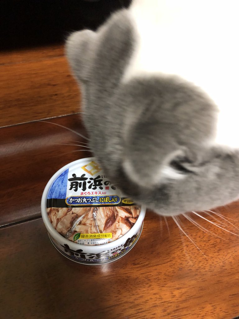 synthone1's tweet photo. https://t.co/bfhxD9iz1o