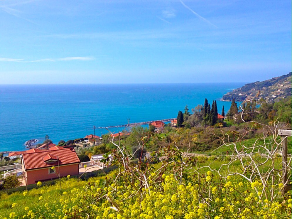 I #colori del #weekend hanno sempre un'armonia diversa 🌼🌾🌼 #today #rivieradiponente #laMiaLiguria #ospedaletti