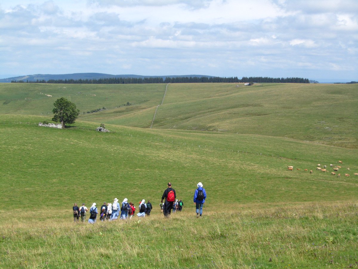 FMJeunes's tweet photo. Save the date : 24-30 juillet 2018 : Marche en Aubrac avec les @FratsJerusalem pour les @Jeunes_cathos. Marche, Prière, Simplicité, Fraternité !
https://t.co/bjEH8VWn7B
Renseignements et inscriptions : https://t.co/EcfE6cpIur https://t.co/O11PhKGNMZ