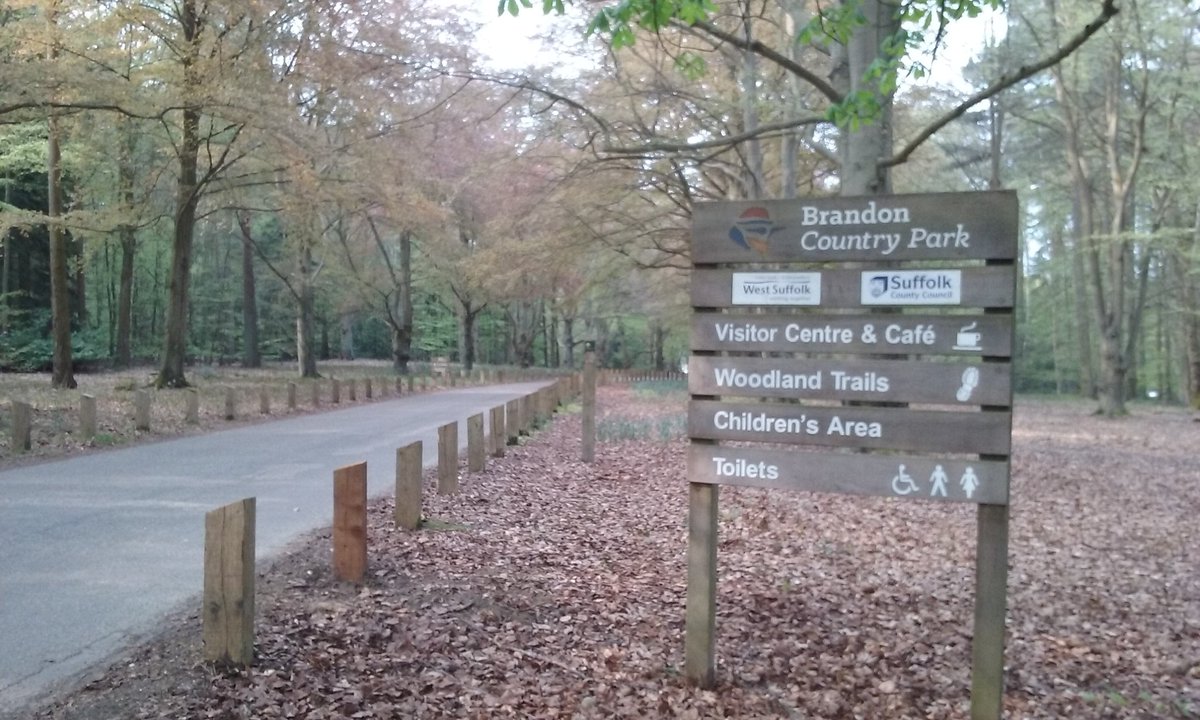 Dawn Balmer (@debalmer) on Twitter photo Marshal duties this morning <a href="/parkrunUK/">parkrun UK</a> <a href="/BCountryPark/">Brandon Country Park</a> accompanied by singing Firecrests and Nutchatches galore Marshal duties this morning <a href="/parkrunUK/">parkrun UK</a> <a href="/BCountryPark/">Brandon Country Park</a> accompanied by singing Firecrests and Nutchatches galore
