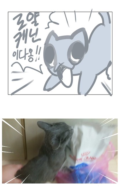 멈춰!! 