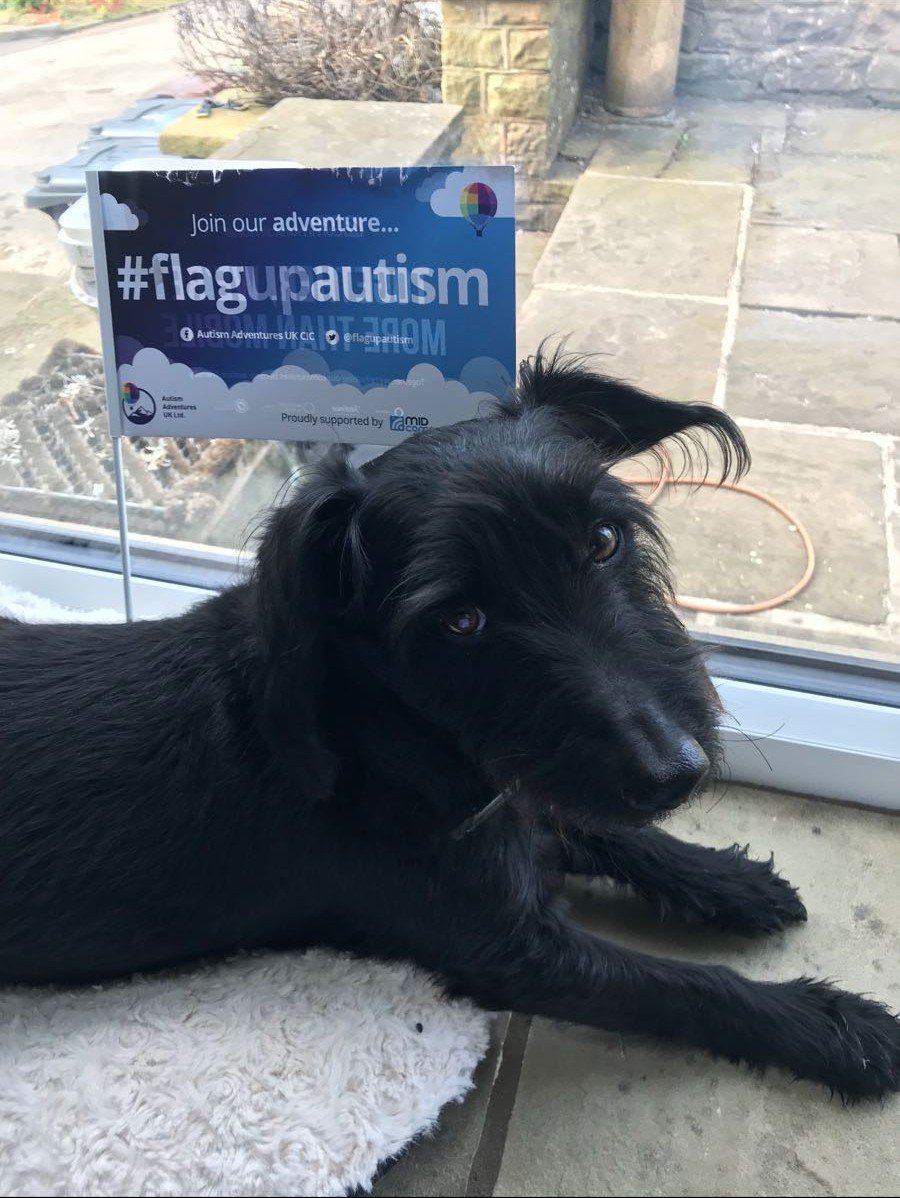 GuruLukeHinch's tweet photo. Doug the dog showing his support for #flagupautism #AutismAwareness #O2Buxton
@flagupautism @RachelAshcroft2 @MIDCommsUK https://t.co/ukqfmM0pVD