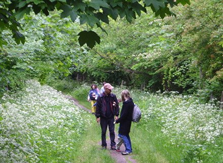 SouthwarkWoods's tweet photo. TOMORROW SUNDAY 22 April 2pm.  
SAVE THE 10 ACRES OF CEMETERY WOODS FROM @LB_SOUTHWARK's CHAINSAWS. Count the trees and record our wood. Camberwell Old Cemetery Forest Hill Rd, SE22 0RU East Dulwich. Close to Honor Oak Park Station. https://t.co/BdlnWqWKm3 https://t.co/slgcRYp0Em