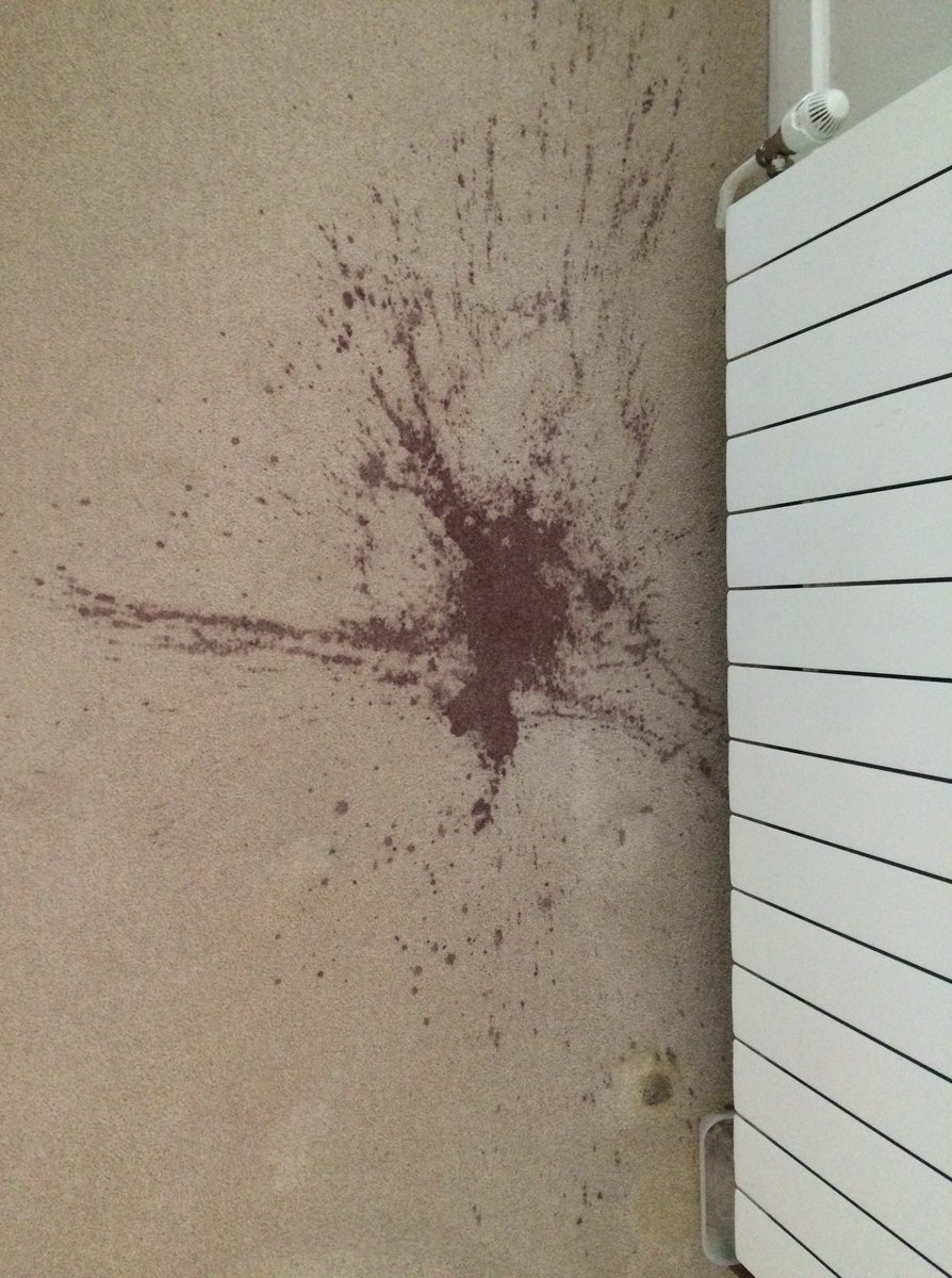 GFFGuernsey's tweet photo. GFF does Carpet Cleaning!! Do you have a stain on your carpet that you are desperate to get rid of? or does your carpet just need a new and refreshing look? Call us on 01481 235936 or email enquiries@gff.gg for more information https://t.co/2EEGpQvIst