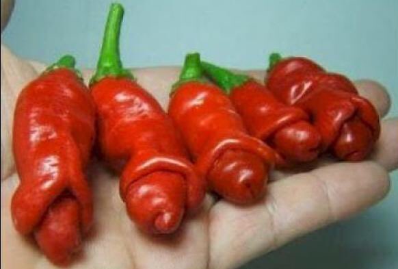 A #ElPiolin #SantEsteveDeLesRoures només tenim productes naturals i de proximitat, mangeu productes de la terra