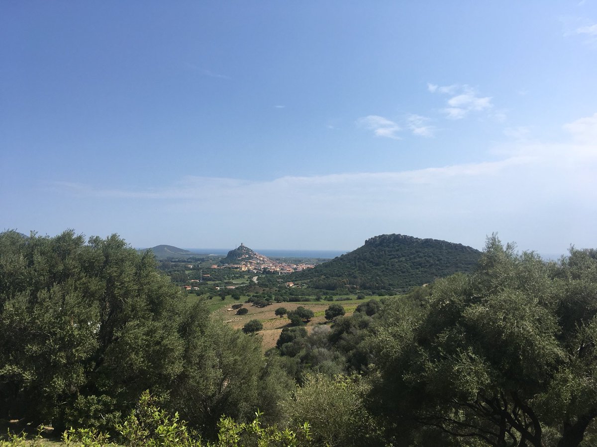 Nicoletta Somma tweet media