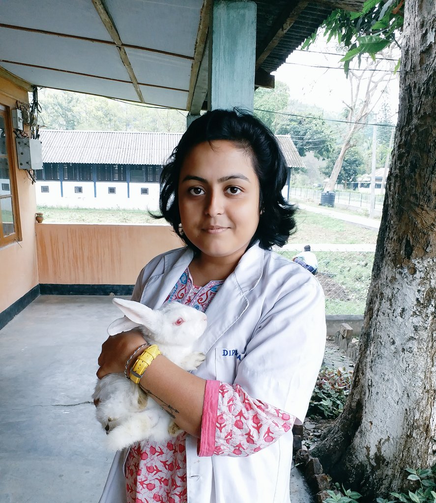 Dr.Dipika deb tweet media