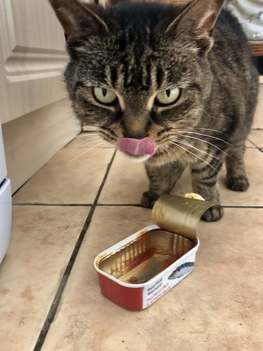 EscapedHere's tweet image. My Daddy luffs me and I luffs him #sharedlunch