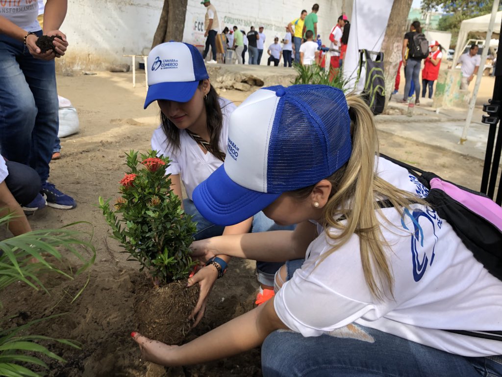Camarabaq's tweet photo. #AquíEstamos en la jornada de voluntariado de pacto global con nuestra #GenteCamaraBAQ #UnPactoPorSiape https://t.co/Xz4YNF9cRU