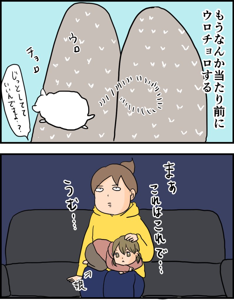 続きはブログへどうぞ  猫を膝に乗せたい気持ちの代わりに… https://t.co/oSi0iuUhYb 