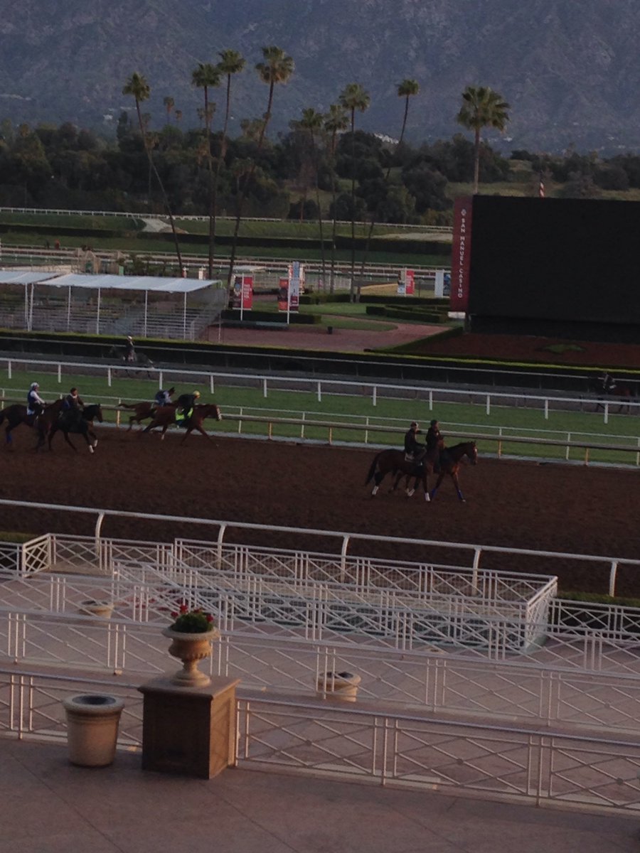 Jay Privman tweet media