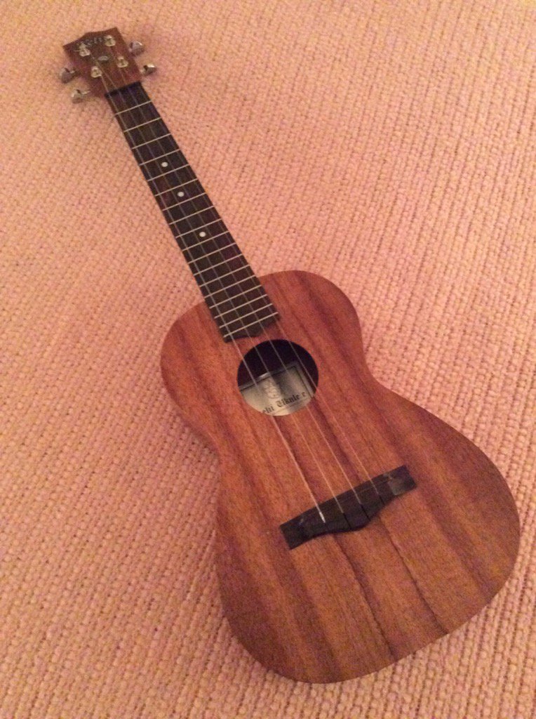 MirrorFinish's tweet photo. Saturday Symphony with @TinyAkiko
#singer #songwriter #ukulele #music #follow #friendship #gratitude #SaturdaySymphony https://t.co/gMEKVS7qL2