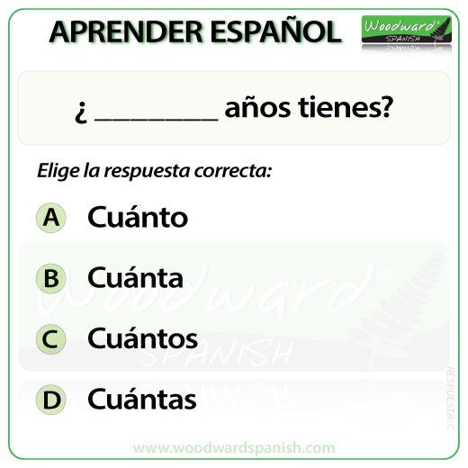 Woodward Spanish Quiz 2