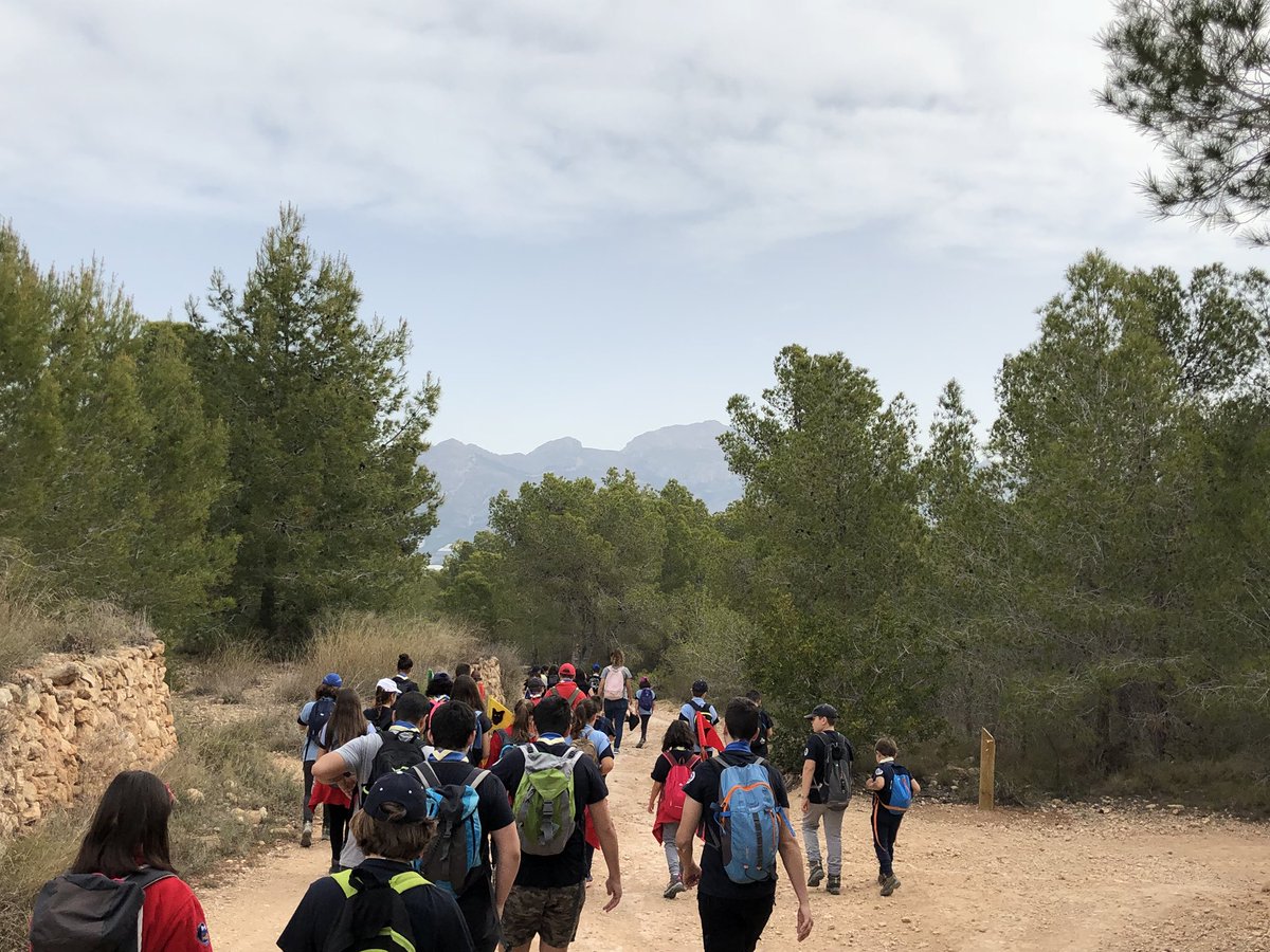 Grup Scout La Nucia tweet media