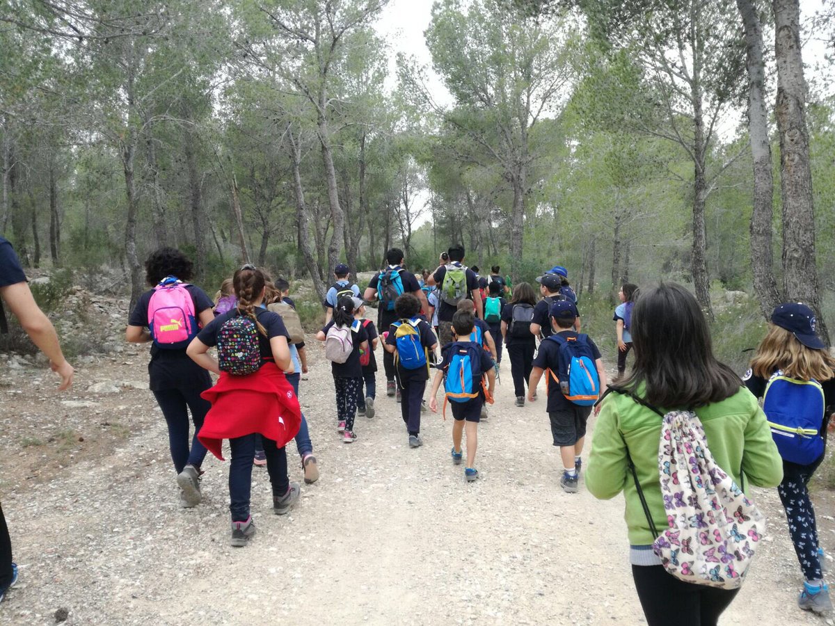 Grup Scout La Nucia tweet media