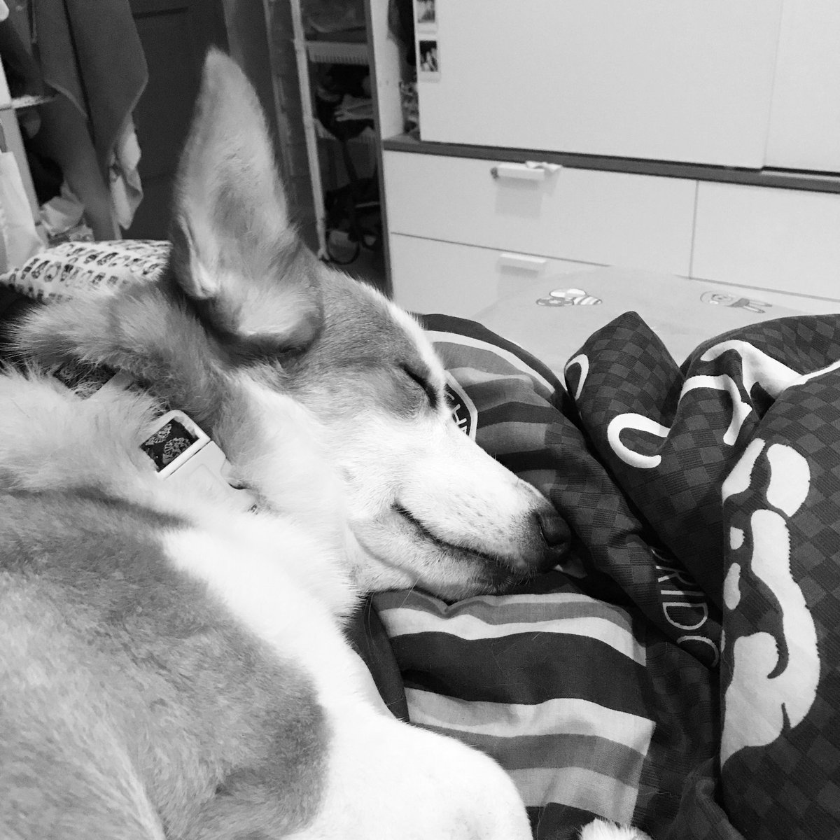 Sleeping like a baby