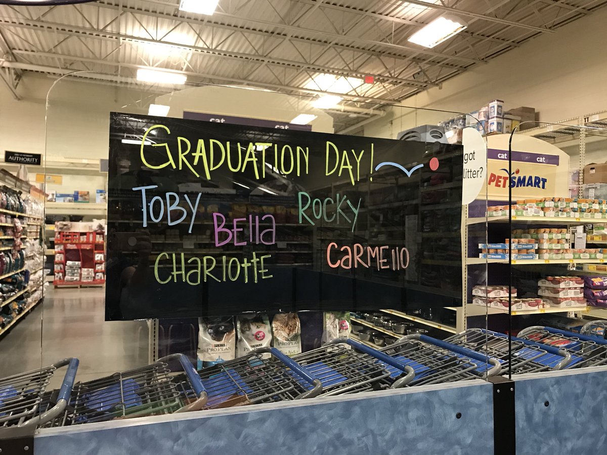 HeatherLynn406's tweet photo. Full day of puppy training! #petsmart #petsmarttrainer #petsmarttraining @PetSmart @PetSmartAE https://t.co/Dg1xNJtVQf