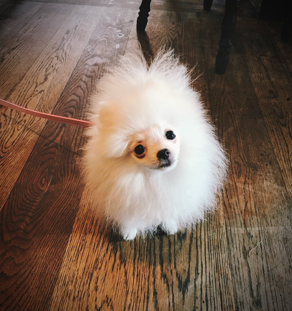 Queens Lytham tweet media